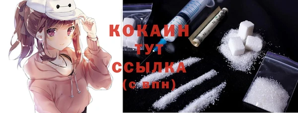 ECSTASY Богородск