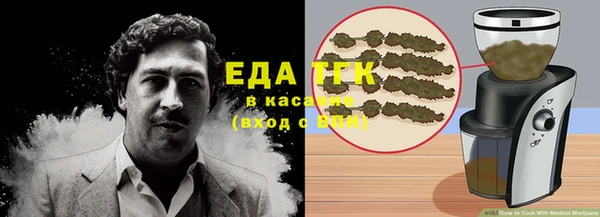 индика Сатка