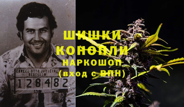 прущая мука Богданович