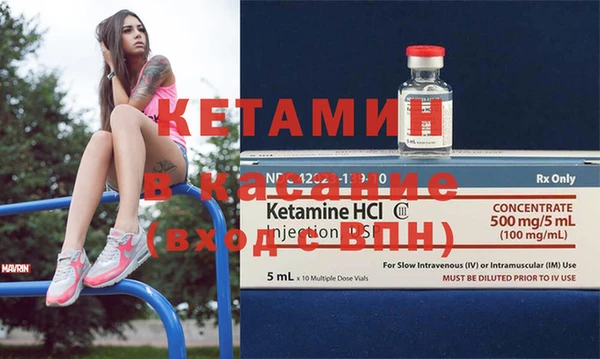 индика Сатка
