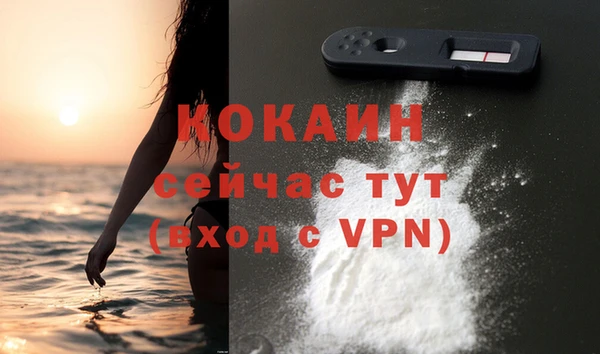 дживик Бронницы