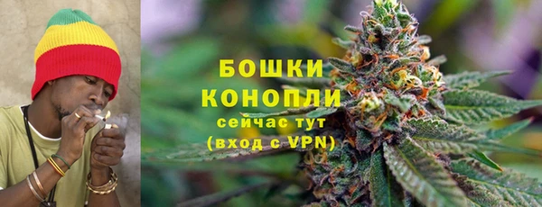 дурь Богородицк
