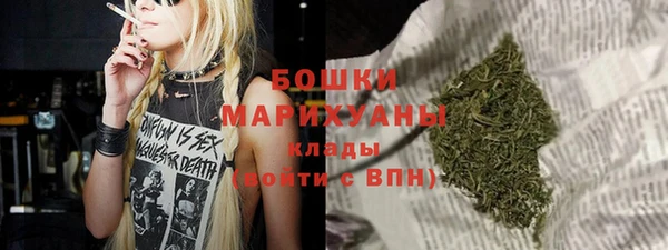 дживик Бронницы